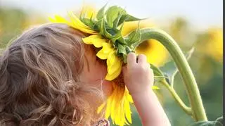 Jutro w całym kraju powinniśmy poczuć wiosnę