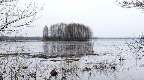 "Nie będzie wody po szyję, raczej do pół łydki"