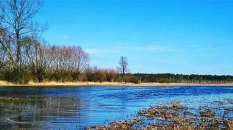 W Polsce "powiało wiosną". Zobacz relacje Reporterów 24