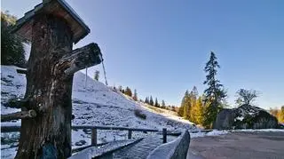 Beskidy w tym roku mogą tak nie wyglądać 