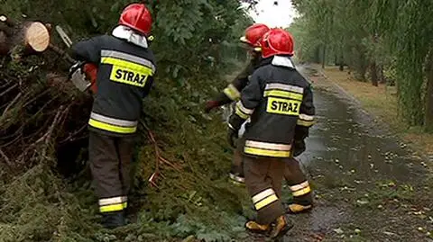 Straż interweniowała kilkaset razy