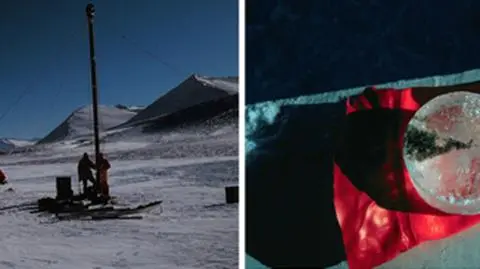 2,8 tys. lat żyły pod lodem. Nie miały prawa tam być