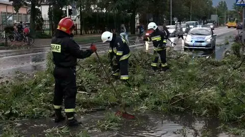 Burza powaliła drzewa w Białej Podlaskiej