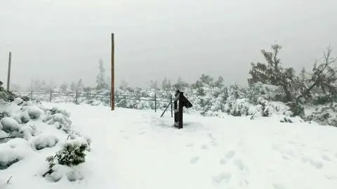 Prawie metr śniegu w Karkonoszach. GOPR apeluje o rozwagę na szlakach