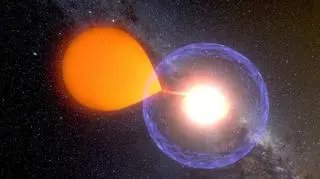 Artystyczna wizja układu V1213 Centauri. Źródło: Krzysztof Ulaczyk