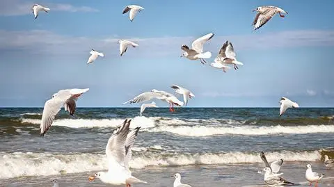 Niedziela nad Bałtykiem będzie pogodna