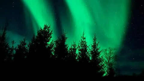 Zatrzęsienie zórz na północnym niebie