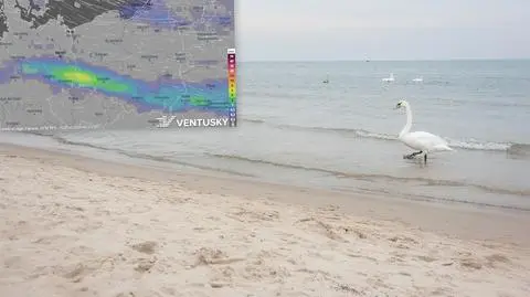 W najbliższe dni przelotnie popada deszcz