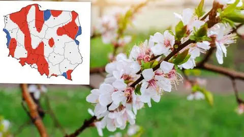 Wstępna prognoza na kwiecień