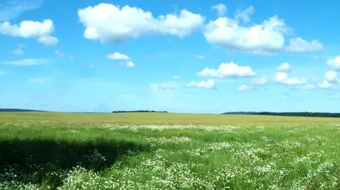 Słoneczny dzień po burzowej nocy