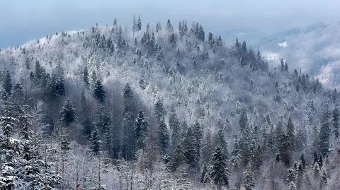 Nadchodzące dni będą mroźne