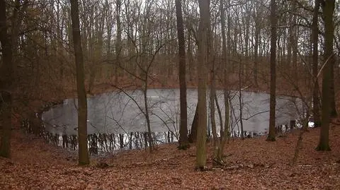 Wielki meteoryt znaleziony w Poznaniu