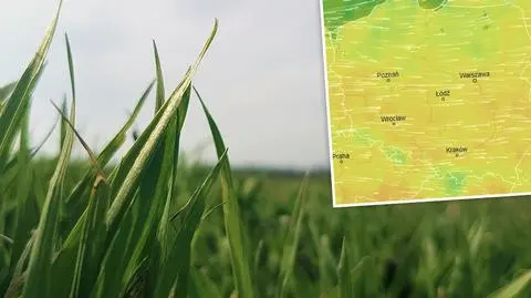 W najbliższych dniach temperatura lekko spadnie