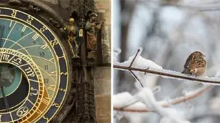 Początek zimy już 22 grudnia