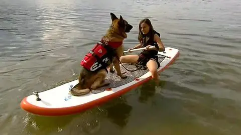 Stand-up paddle z czworonogiem