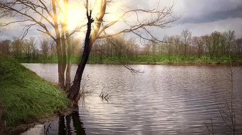 Prognoza pogody na dziś: lokalny deszcz, ale i przejaśnienia. Mocniej powieje