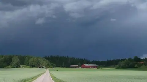 Wieczorem może zagrzmieć na południowym wschodzie
