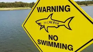 Golfiści muszą uważać na... rekiny