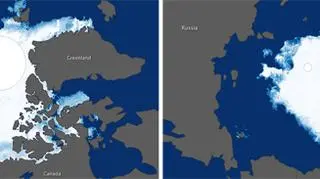 Lodu na Oceanie Arktycznym jest rekordowo mało
