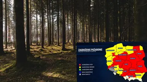 Sucha ściółka, brak opadów. Najwyższy stopień zagrożenia pożarowego w lasach