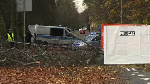 Silny wiatr na Pomorzu. Zginęła kobieta przygnieciona przez drzewo