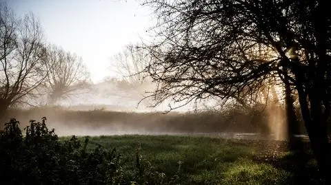 Przed nami słoneczny dzień