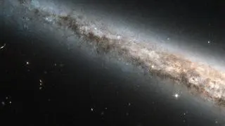 NGC4565, najnowsze zdjęcie