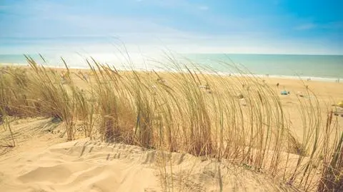 Prognoza pogody na dziś: upalna sobota z burzami