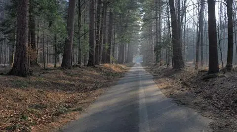 Pogoda nie przysporzy kierowcom kłopotów