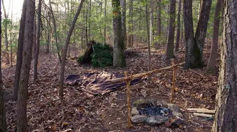 Bushcraft i survival łatwiejsze w polskich lasach. "Musimy śledzić nowe trendy"