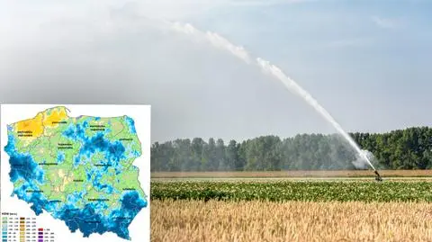 Susza rolnicza we wszystkich województwach. Trzy zdecydowanie przodują