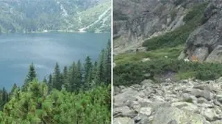 Widok na Tatry