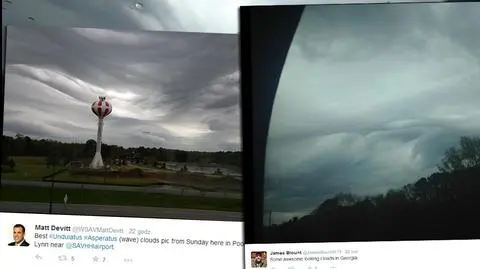 Asperatus widziane w niedzielę w USA