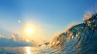 Chłodne wody oceanu pochłaniają znaczne ilości dwutlenku węgla