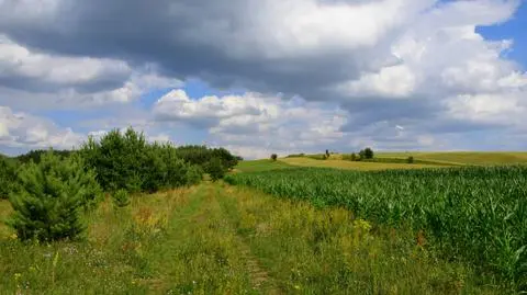 Prognoza pogody na dziś: bardzo ciepło, na wschodzie mokro