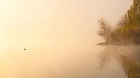 Pasma mgieł ciągną się na przestrzeni tysięcy kilometrów. Skąd się biorą?