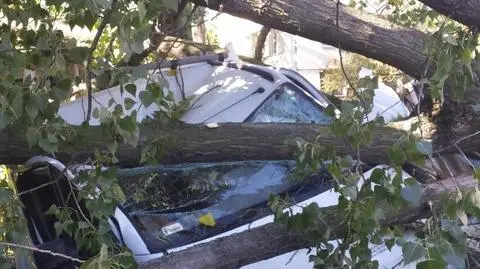Aktualnie czytasz: Zniszczone samochody, powalone drzewa i ranni 