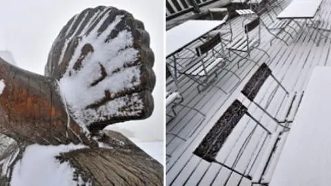 Śnieg ponownie przykrył Niemcy