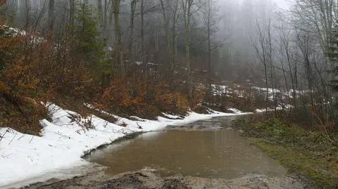 Prognoza pogody na dziś przewiduje opady 