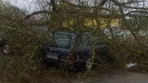 Skutki wichury w Szczecinie