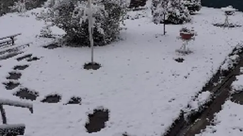 Aktualnie czytasz: Spadła temperatura, spadł też śnieg. "Zima w maju"