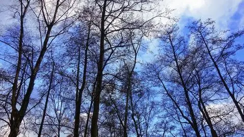 Czwartek będzie na ogół pogodny