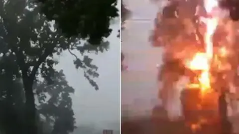 Błysk i huk. Reporter 24 uchwycił moment uderzenia pioruna w drzewo