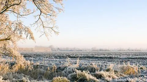 W nocy będzie chwytał mróz
