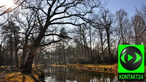 Prognoza pogody na dziś: chmury i rozpogodzenia