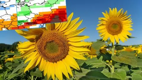Początek sierpnia będzie upalny
