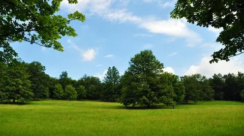 Komunikat dla alergików