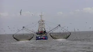 Do mórz i oceanów trafia rocznie około 560 tysięcy ton narzędzi połowowych