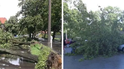 Piła ugięła się pod nawałnicą
