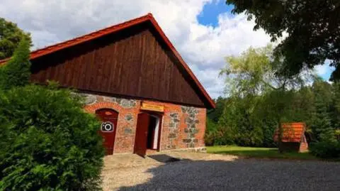 Pójdź na spacer do lasu nie wychodząc z domu